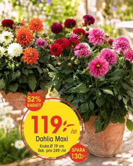 EKO-katalog | Exklusiva deals och fynd | 2026-07-20T00:00:00.000Z - 2026-08-03T00:00:00.000Z