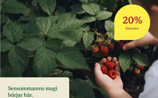 Blomsterlandet-katalog | 20% rabatt! | 2026-08-03T00:00:00.000Z - 2026-08-17T00:00:00.000Z