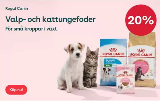 Zoo-katalog | 15-25% rabatt! | 2026-09-29T00:00:00.000Z - 2026-10-13T00:00:00.000Z