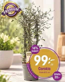 EKO-katalog | Rabatter och kampanjer | 2026-10-15T00:00:00.000Z - 2026-10-29T00:00:00.000Z