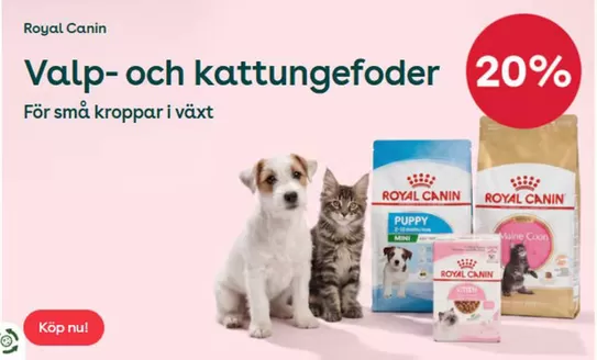 Zoo-katalog | 20-25% rabatt! | 2026-10-20T00:00:00.000Z - 2026-10-31T00:00:00.000Z