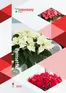 Hörnhems handelsträdgård-katalog | Poinsettia 2025! | 2025-02-03T00:00:00.000Z - 2025-12-31T00:00:00.000Z