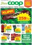 Coop Forum-katalog | Upptäck attraktiva erbjudanden | 2025-12-27T00:00:00.000Z - 2026-01-04T00:00:00.000Z