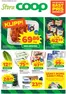 Stora Coop-katalog | Top-erbjudanden för alla fyndjägare | 2026-04-20T00:00:00.000Z - 2026-04-26T00:00:00.000Z