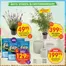 EKO-katalog | EKO reklamblad | 2026-05-12T00:00:00.000Z - 2026-05-26T00:00:00.000Z