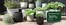 Plantagen-katalog | 30% rabatt! | 2026-05-25T00:00:00.000Z - 2026-06-08T00:00:00.000Z