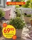EKO-katalog | EKO reklamblad | 2026-06-01T00:00:00.000Z - 2026-06-15T00:00:00.000Z
