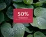 Blomsterlandet-katalog | 50% rabatt! | 2026-06-08T00:00:00.000Z - 2026-06-21T00:00:00.000Z