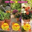 EKO-katalog | EKO reklamblad | 2026-07-05T00:00:00.000Z - 2026-07-19T00:00:00.000Z
