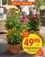 EKO-katalog i Borlänge | Top-erbjudanden för sparrävar | 2026-07-06T00:00:00.000Z - 2026-07-20T00:00:00.000Z