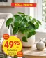 EKO-katalog i Håga (Uppsala) | EKO reklamblad | 2026-08-10T00:00:00.000Z - 2026-08-24T00:00:00.000Z