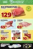 Matvärlden-katalog i Härnösand | Veckans erbjudanden Tensta! | 2026-09-10T00:00:00.000Z - 2026-09-16T00:00:00.000Z