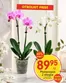 EKO-katalog i Ekeby (Örebro) | EKO reklamblad | 2026-08-17T00:00:00.000Z - 2026-08-31T00:00:00.000Z