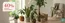 Plantagen-katalog | 30-40% rabatt! | 2026-08-24T00:00:00.000Z - 2026-09-07T00:00:00.000Z