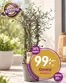 EKO-katalog | Rabatter och kampanjer | 2026-10-15T00:00:00.000Z - 2026-10-29T00:00:00.000Z