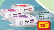 Yüzey Temizlik Havlusu Lilyum/ Kiraz Çiçeği/Orkide