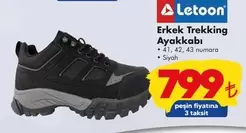 Erkek Trekking Ayakkabı