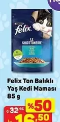 Ton Balıklı Yaş Kedi Maması