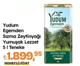 Sızma Zeytinyağı Yumuşak Lezzet