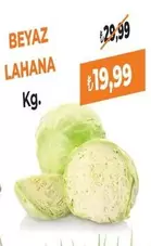 Beyaz - BEYAZ LAHANA