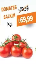 DOMATES SALKIM