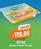 Burger Peyniri