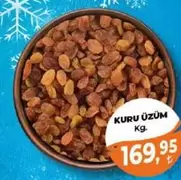KURU ÜZÜM