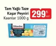 Taze Kaşar Peyniri