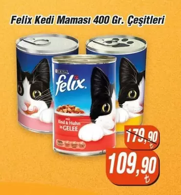 Kedi Maması