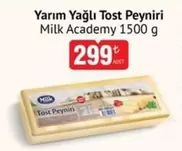Tost Peyniri