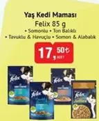 Yaş Kedi Maması