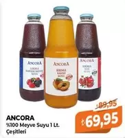 %100 Meyve Suyu 1 Lt. Çeşitleri