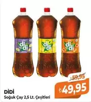 Soğuk Çay 2,5 Lt. Çeşitleri