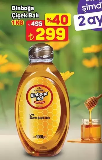 Seat - Çiçek Balı