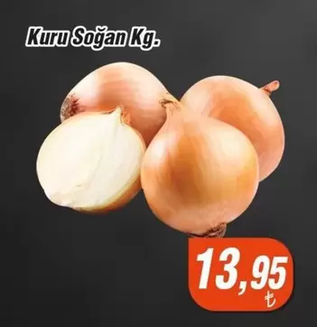 Kuru Soğan Kg.