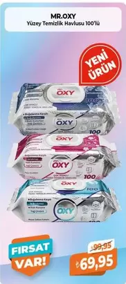 Yüzey Temizlik Havlusu 100'lü