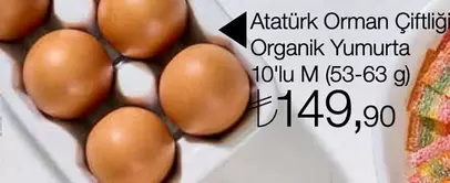 Organik Yumurta 10'lu M (53-63 g)