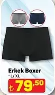 Boxer - Erkek
