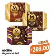 Algida - Magnum Mini 6'lı