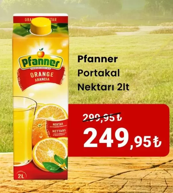 Portakal Nektarı
