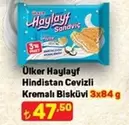 Haylayf Hindistan Cevizli Kremalı Bisküvi