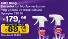 Dezenfektan Mutfak ve Banyo Yağ Çözücü ve Kireç Sökücü Spreyler