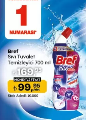 Sıvı Tuvalet Temizleyici