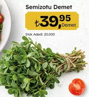 Semizotu Demet