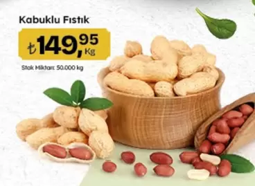 Kabuklu Fıstık