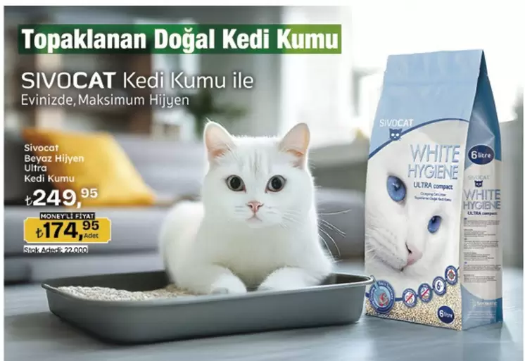 Beyaz - Doğal Kedi Kumu