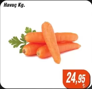 Havuç Kg.