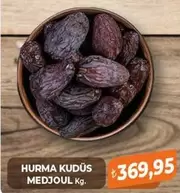 MEDJOUL Kg.