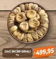 DAĞ İNCİRİ