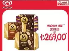 Algida - MAGNUM MINI